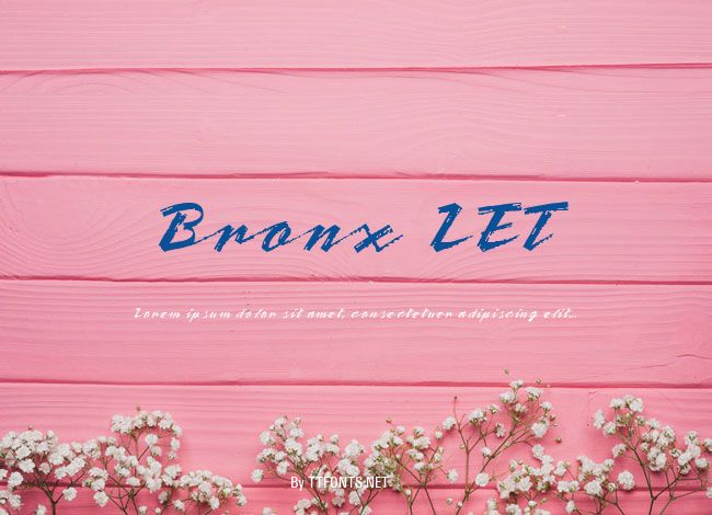 Bronx LET example